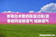 夏季如何去除湿气 祛除湿气的办法 参苓白术散的排湿过程