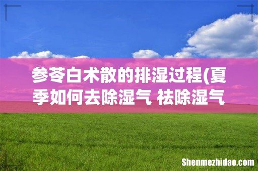 夏季如何去除湿气 祛除湿气的办法 参苓白术散的排湿过程