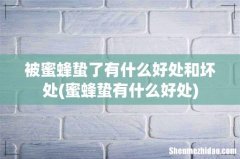 蜜蜂蛰有什么好处 被蜜蜂蛰了有什么好处和坏处