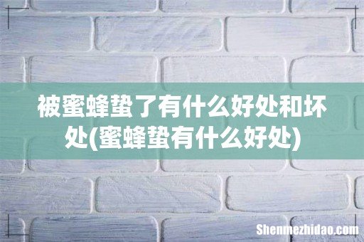蜜蜂蛰有什么好处 被蜜蜂蛰了有什么好处和坏处