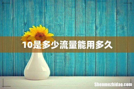 10是多少流量能用多久