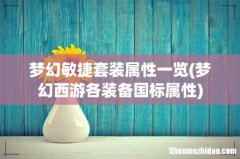 梦幻西游各装备国标属性 梦幻敏捷套装属性一览
