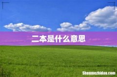 二本是什么意思