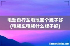 电瓶车电瓶什么牌子好 电动自行车电池哪个牌子好