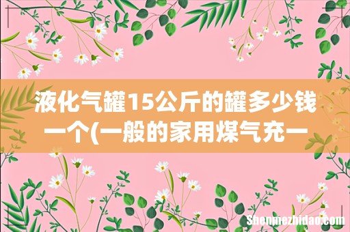 一般的家用煤气充一罐是多少钱,一般他们拉出哪里充,利润可以拿到多少。 液化气罐15公斤的罐多少钱一个