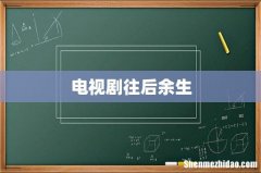 电视剧往后余生