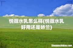 悦薇水乳好用还是娇兰 悦薇水乳怎么样