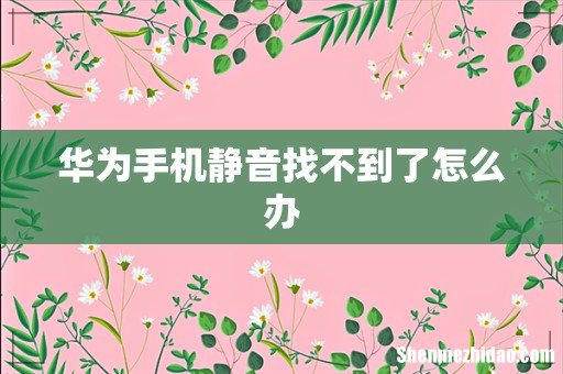 华为手机静音找不到了怎么办