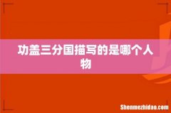 功盖三分国描写的是哪个人物