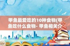 甲鱼吃什么食物- 甲鱼相关介绍 甲鱼最爱吃的10种食物