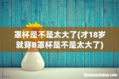 才18岁就穿B罩杯是不是太大了 罩杯是不是太大了