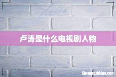 卢涛是什么电视剧人物