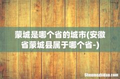 安徽省蒙城县属于哪个省- 蒙城是哪个省的城市