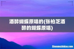 张柏芝酒醉的蝴蝶原唱 酒醉蝴蝶原唱的