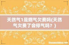 天然气欠费了会停气吗？ 天然气1是燃气欠费吗