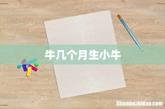 牛几个月生小牛