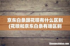 花呗和京东白条有啥区别 哪个更好？ 京东白条跟花呗有什么区别