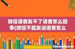 微信不能发送语音怎么回事 微信不能发送语音的原因 微信语音发不了语音怎么回事