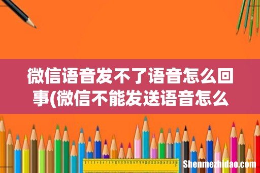 微信不能发送语音怎么回事 微信不能发送语音的原因 微信语音发不了语音怎么回事