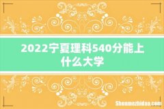 2022宁夏理科540分能上什么大学