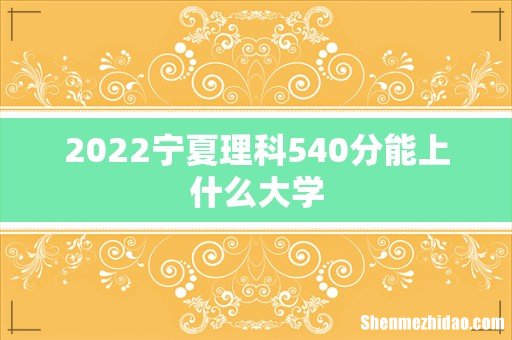 2022宁夏理科540分能上什么大学