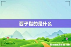 西子指的是什么