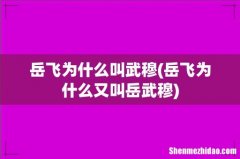 岳飞为什么又叫岳武穆 岳飞为什么叫武穆
