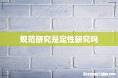 规范研究是定性研究吗