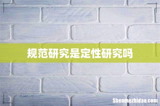 规范研究是定性研究吗