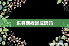 东寻西找是成语吗