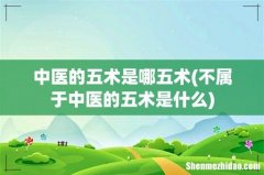 不属于中医的五术是什么 中医的五术是哪五术