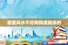 家里风水不好狗狗提醒你的