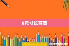 8尺寸长高宽