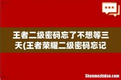 王者荣耀二级密码忘记了怎么办 王者二级密码忘了不想等三天