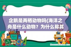 海洋之舟是什么动物？为什么称其为海洋之舟？ 企鹅是两栖动物吗