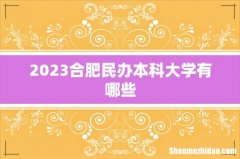2023合肥民办本科大学有哪些
