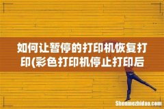 彩色打印机停止打印后,怎么让他恢复打印 如何让暂停的打印机恢复打印