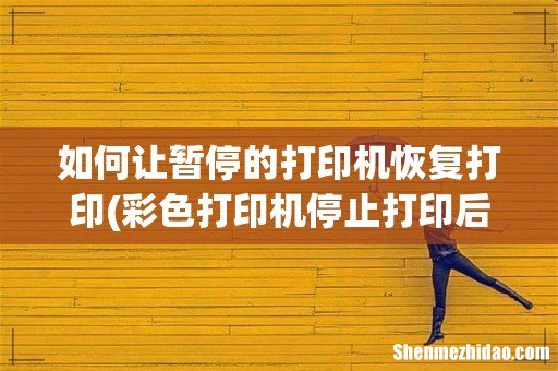 彩色打印机停止打印后,怎么让他恢复打印 如何让暂停的打印机恢复打印
