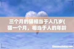 猫一个月，相当于人的年龄多少岁 三个月的猫相当于人几岁