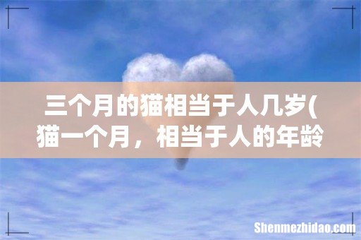 猫一个月,相当于人的年龄多少岁 三个月的猫相当于人几岁
