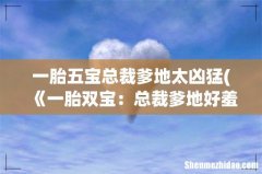 《一胎双宝：总裁爹地好羞羞》txt下载在线阅读全文，求百度网盘云资源 一胎五宝总裁爹地太