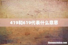 419和619代表什么意思