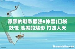 口袋妖怪 漆黑的魅影 打四大天王最好用的6只是什么？ 漆黑的魅影最强6神兽