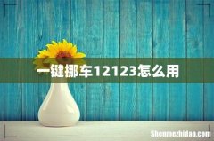 一键挪车12123怎么用
