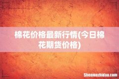今日棉花期货价格 棉花价格最新行情