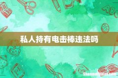 私人持有电击棒违法吗