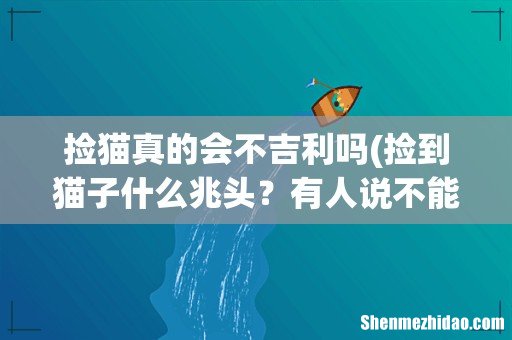 捡到猫子什么兆头?有人说不能捡路边的猫咪,在路边捡猫咪是不好的 捡猫真的会不吉利吗