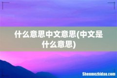 中文是什么意思 什么意思中文意思