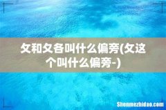 攵这个叫什么偏旁- 攵和夂各叫什么偏旁