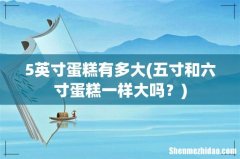 五寸和六寸蛋糕一样大吗？ 5英寸蛋糕有多大